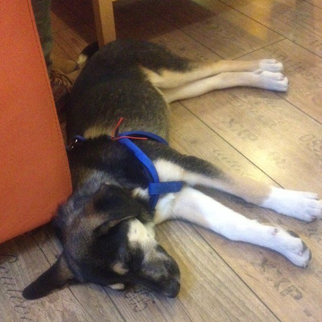 valeriu_g's profile picture. 