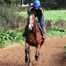 bpfitz91's profile picture. 