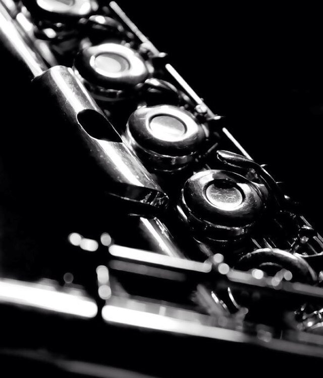 I play flute and that is literally it. @Cornetprobs is the reason to live. Follow her as well as @GuyTrumpet