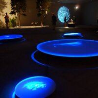 Eric Paulson (@erickpaulson) 's Twitter Profile