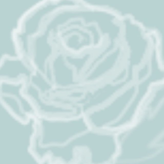 WhiteRoseInvite's profile picture. We create beautiful handcrafted wedding invites and stationery especially for you.