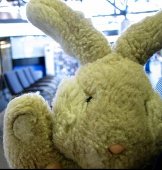 Travel Bunny has been @AlexaClark's travel companion for 30 years (since 1986). He makes friends, #travel and causes trouble. Best. Bunny. Ever.
