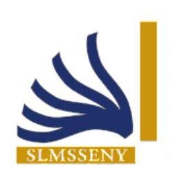 SLMSSENY (School Library Media Specialists SE NY) is a professional organization comprised of school library media specialists in southeastern NY.