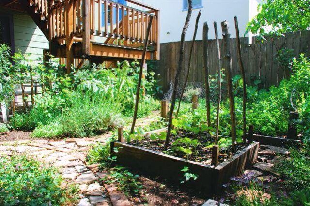 Promoting the health, social & economic benefits of living green, eating & growing local in Boston’s oldest and largest neighborhood