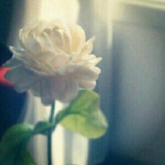 Melz1_ Profile Picture