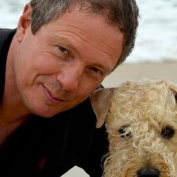 stefmakingsense's profile picture. 