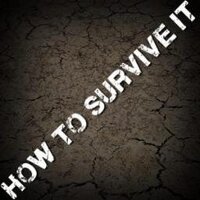How To Survive It (@howtosurviveit) 's Twitter Profile