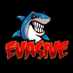 Competitive Call of Duty Brazilian Team