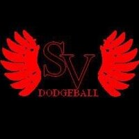 SVSU Dodgeball (@svdodgeball) 's Twitter Profile