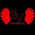 SVSU Dodgeball (@svdodgeball) Twitter profile photo