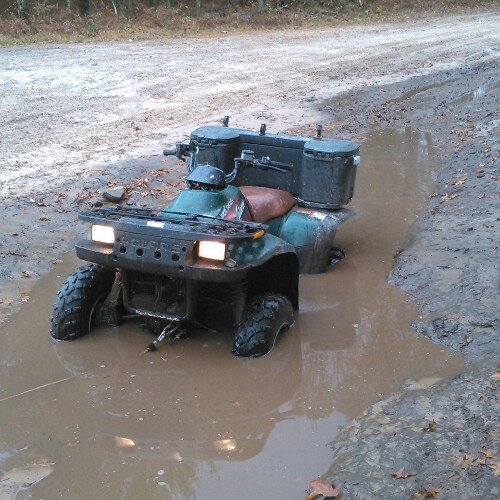 goingatving's profile picture. 