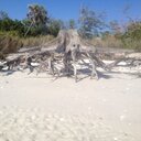 bob walter - @bobinaples - Twitter