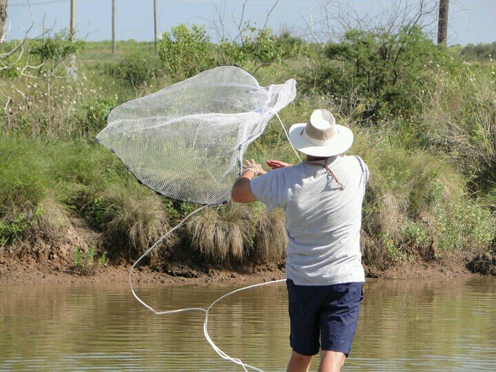 TDePalermo's profile picture. 