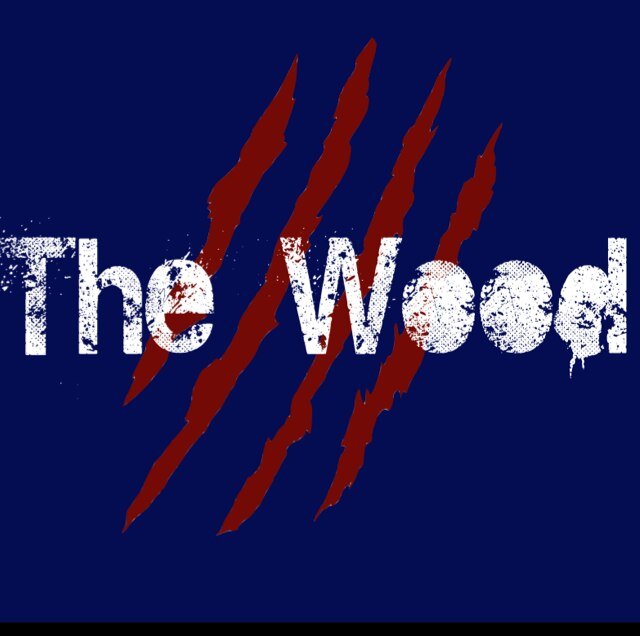 thewoodpride's profile picture. Student-built. Student-run. WHS pride. Direct your questions to your Senior Class President @BlakeAHeyer