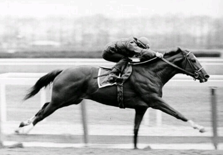 You ride like an unmade bed that was never made and never will be