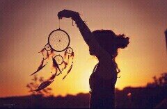 Fallow e Rt  :*