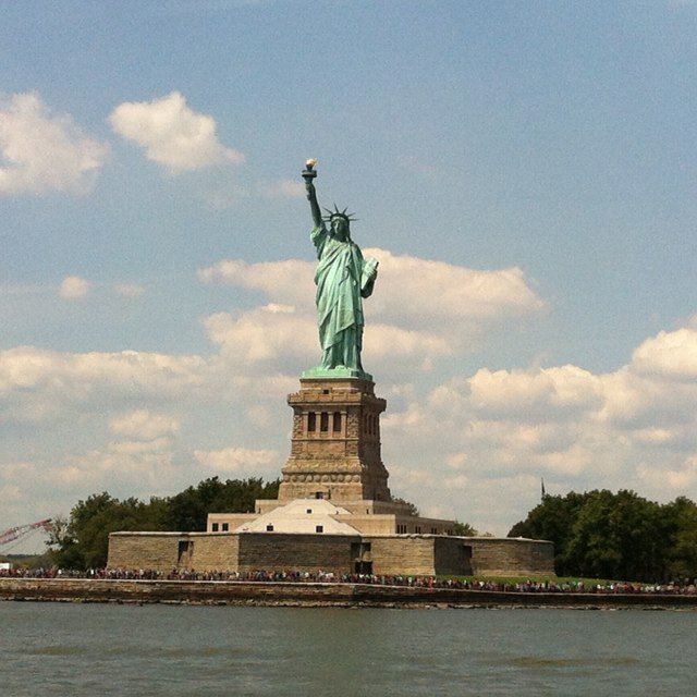Information Technology Manager for NYCVP