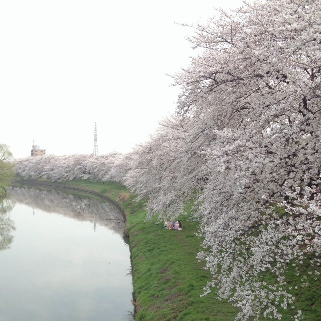 6729Flower's profile picture. 初めまして、私は大学2年の長谷川といいます！ フラワーアレンジメントやってる方、よろしくお願いします！