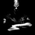 Victor Uriel (@urielphoenix) Twitter profile photo