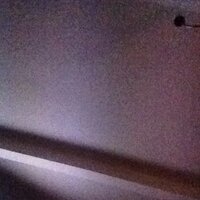 Rosalie Fine (@r_taylorfine) 's Twitter Profile Photo