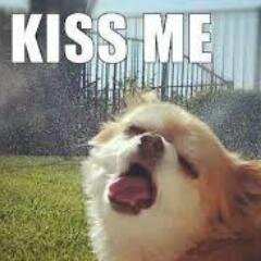 Lukaab's profile picture. 