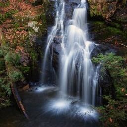 A website and photo blog about all things related to Nature Photography, inlcuding reviews, articles, downloads, and of course, photos.