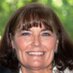 Linda B. Shannon (@lsha700736) Twitter profile photo