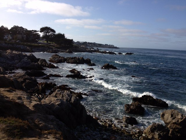 jamieinpg's profile picture. help develop great leaders at UC Berkeley-Haas. ski at squaw, hike and bike anywhere. happiest in the kitchen or with knitting needles, dogs at my feet