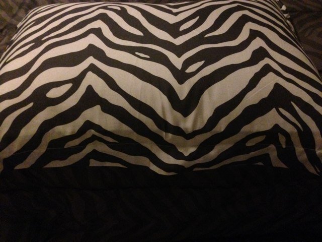 cslady007's profile picture. Religion, love, patience, and communication are very important.