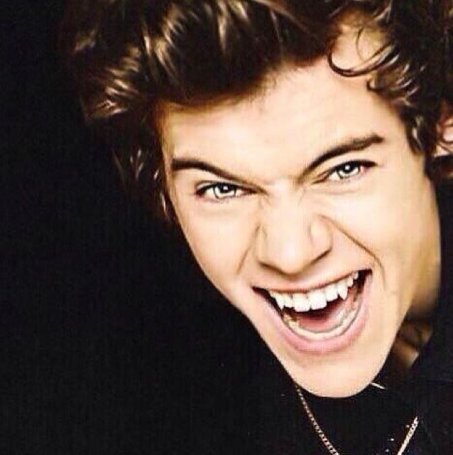 {insert clever one direction pun}