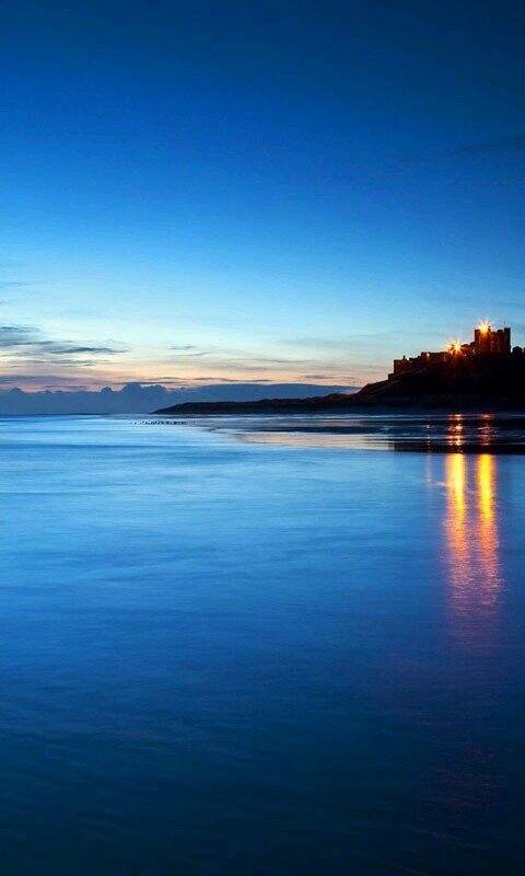 Wankehui's profile picture. 