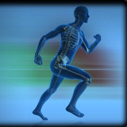 Orthopedics2day's profile picture. How much do you really know about orthopedic procedures and technologies?  Find out more today!