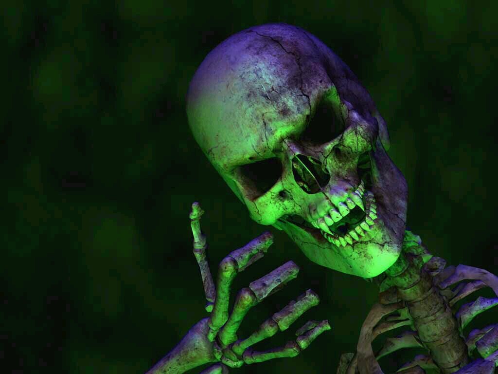 WalkingDeath534's profile picture. 