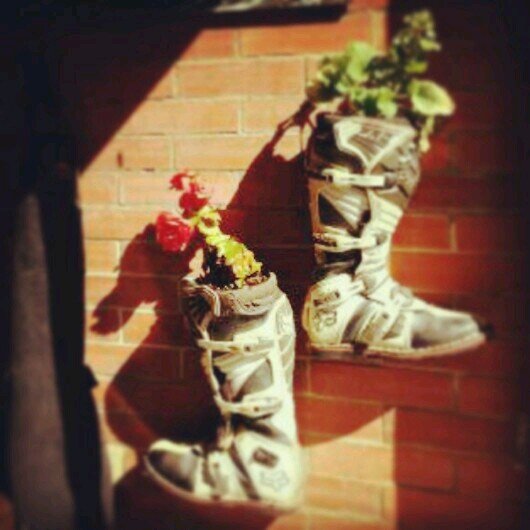 lonsohoyos's profile picture. 