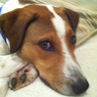 Aaron Marcus (@mootis77) 's Twitter Profile Photo Aaron Marcus (@mootis77) 's Twitter Profile Photo