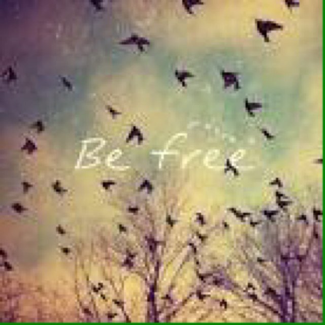 No longer a fan page . ✌️ No love was shown . Quotes Real Follow Follow2bfollowed Thanks ➰