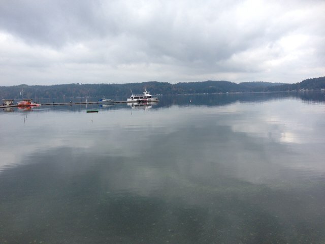 cliff_shipp's profile picture. I am just trying to figure out how this works.