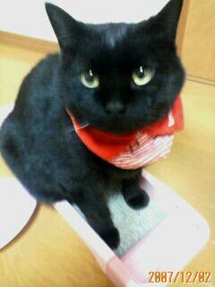ぼんやり、することが、好き！