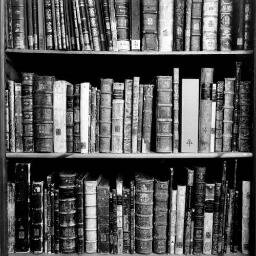 Libros de papelさんのプロフィール画像