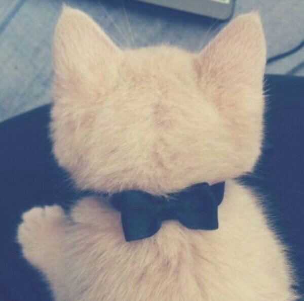 ‏‏‏* جِده *