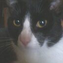 Elsa Luis - @Elsa_L7 - Twitter