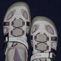 TheWalkingLibrarian (@zone1librarian) 's Twitter Profile Photo