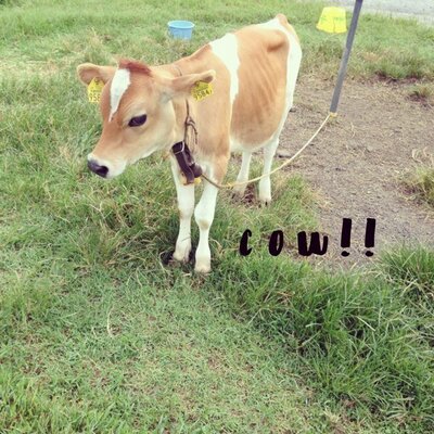 おおばあや バカリズムさんは田川の人だったんだ Nohohon Kenbun 実力派ピン芸人のバカリズム さん 36 が 故郷 福岡県田川市のゆるキャラ をデザインした 旧産炭地にちなみ その名も石田川炭夫 いしたがわ すみお 中学生らしいhttp T Co Qywivlpf おおばあや バカリズムさんは田川の人だったんだ Nohohon Kenbun 実力派ピン芸人のバカリズム さん 36 が 故郷 福岡県田川市のゆるキャラ をデザインした 旧産炭地にちなみ その名も石田川炭夫 いしたがわ すみお 中学生らしいhttp T Co Qywivlpf