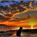 Marie Franks - @marieslashy - Twitter