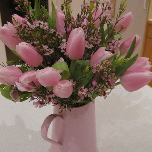 KateLMendoza's profile picture. Tunbridge Wells and @DigitalMumsHQ trainee