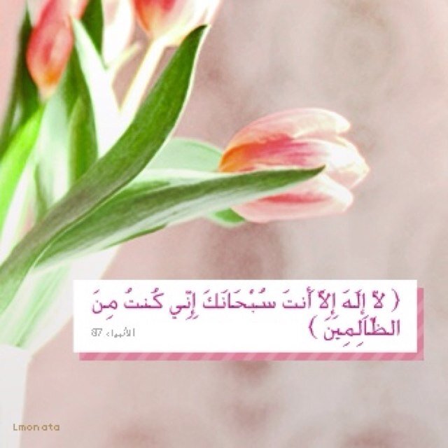 لا ٱله إلا الله ' مُحمد رسوُل الله