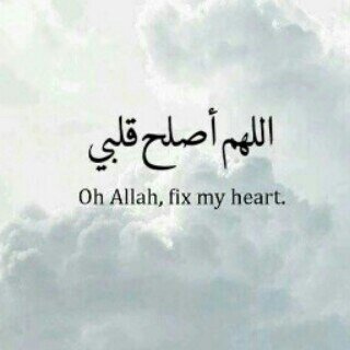 ‏ﻻن الحب دعاء جعلت هذا الحساب صدقة  ل@M0I1_