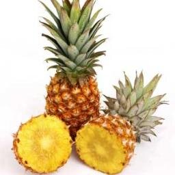 Indonesia = Surga Buah.