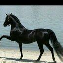 00965 (@00965Adl511338) Twitter