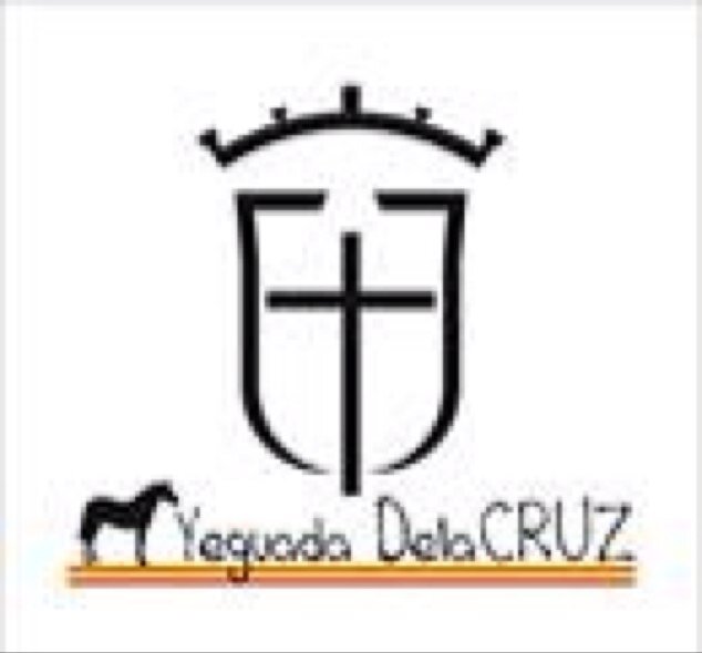 YeguadaDelaCRUZ's profile picture. Cría Caballos de Pura Raza Española capa castaña y negra origenes Escalera.